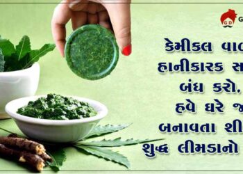 કેમિકલ વાળા સાબુ બંધ કરીને હવે ઘરે જ બનાવો શુદ્ધ લીમડાનો સાબુ આસન રીતે… જાણો તે બનાવવાની પધ્ધતિ