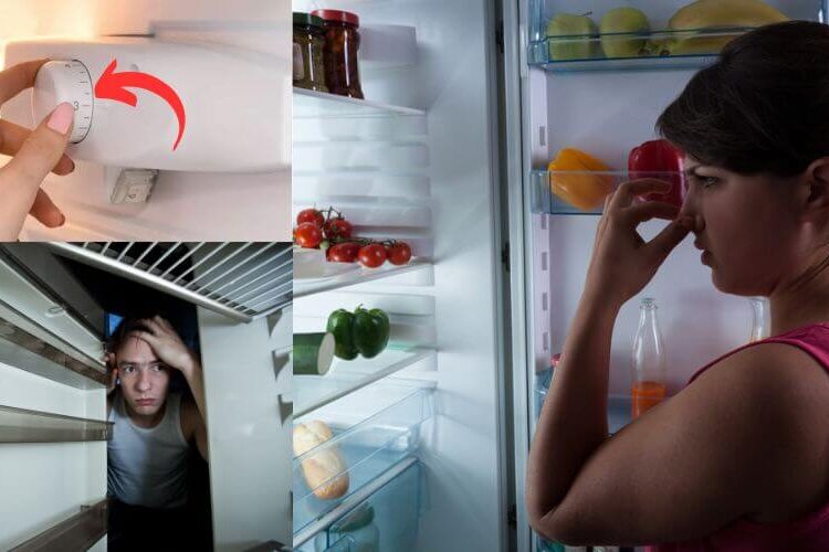ચોમાસામાં ફ્રિજમાં ખાવાનું રાખતા પહેલા જાણી લ્યો કેટલું રાખવું જોઈએ ટેમ્પરેચર, 99% લોકો નથી જાણતા આ ઉપયોગી માહિતી…