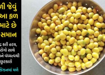 લીંબોળી જેવું આ ફળ શરીર માટે છે અમૃત સમાન, હૃદયથી લઈને વંધ્યત્વ સુધીના રોગોને કરી દેશે સફાયો… લોહી અને કિડની કરી દેશે સાફ…