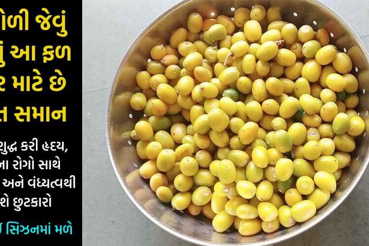 લીંબોળી જેવું આ ફળ શરીર માટે છે અમૃત સમાન, હૃદયથી લઈને વંધ્યત્વ સુધીના રોગોને કરી દેશે સફાયો… લોહી અને કિડની કરી દેશે સાફ…