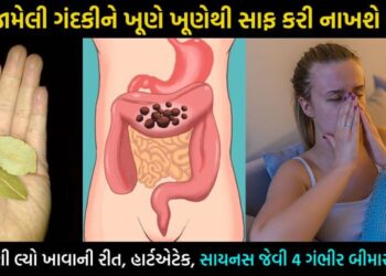 આવી રીતે કરો આ સસ્તા પાંદડાનું સેવન, પેટમાં જામેલ ગંદકી થશે જડમૂળથી સાફ… હાર્ટએટેક, સાયનસ અને કોલેસ્ટ્રોલ જેવા રોગો થશે મફતમાં ગાયબ…