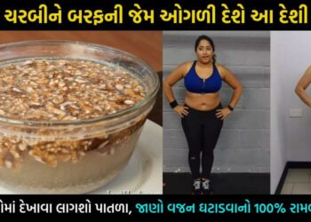 વજન ઘટાડવા ખાઈ લ્યો આ વસ્તુ, બરફની જેમ ઓગળશે શરીરની જીદ્દી ચરબી… થોડા દિવસોમાં જ દેખાશે અસર…