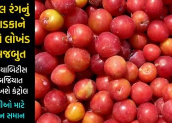 હાડકાને મજબુત કરી વજન, ડાયાબિટીસને રાખશે આજીવન કાબુમાં… કબજિયાત મટાડી હૃદયરોગનું જોખમ કરશે ઓછું… જાણો કયું છે આ ફળ..