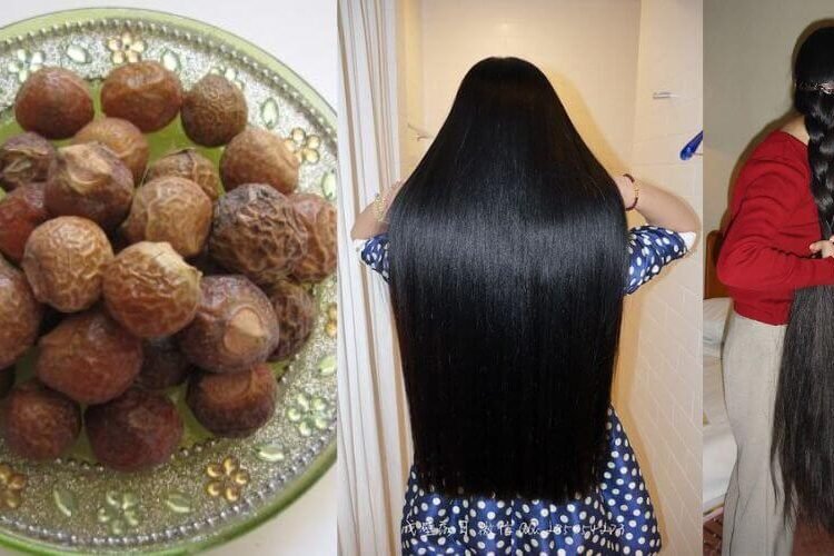 ગમે તેવા ખરાબ અને નબળા વાળમાં લગાવી આ એક વસ્તુ, થઈ જશે એકદમ ઘાટા, લાંબા અને મજબુત… જાણો વાળની સમસ્યાનો પ્રાચીન ઉપાય…