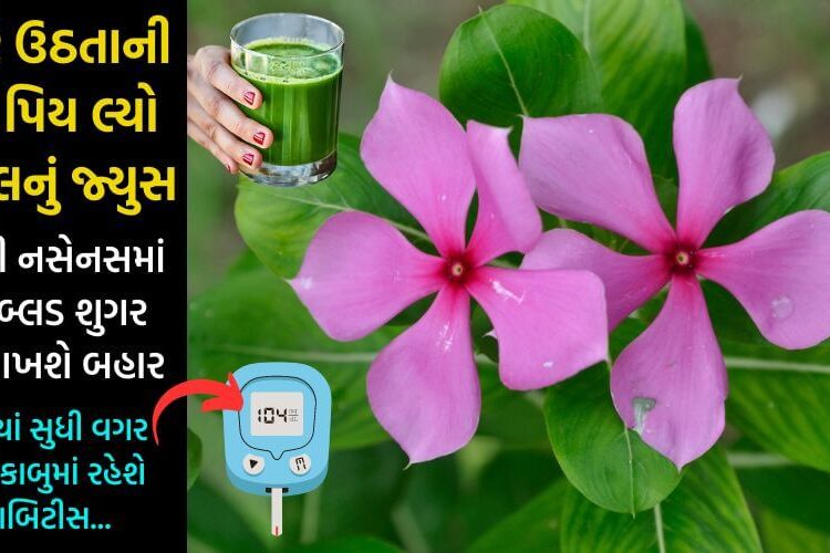 સવારે ઉઠતાની સાથે પિય લ્યો આ નેચરલ જ્યુસ, નસેનસમાં રહેલું બ્લડ શુગર નીકળી જશે બહાર… ડાયાબિટીસની દવાઓથી મળશે જિંદગીભરનો છુટકારો…