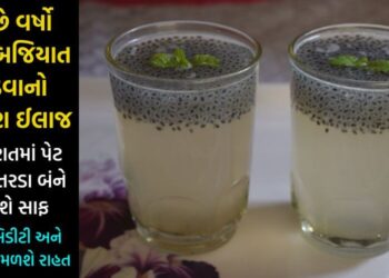 પિય લ્યો મફતમાં બનતું આ ચમત્કારિક પીણું, વર્ષોની કબજિયાતનો ખાત્મો થશે 1 જ રાતમાં, ગેસ, એસિડીટી અને બવાસીર રહેશે આજીવન દુર…