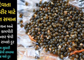 આ ફળના બીજ શરીર માટે છે અમૃત સમાન, નબળું પાચન અને કિડનીની કામગીરીમાં કરશે સુધારો… પેટ, પાચનના રોગો પણ થશે દુર..