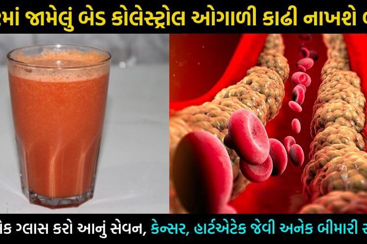 બેડ કોલેસ્ટ્રોલને વગર દવાએ કરો કંટ્રોલ, ફક્ત એક ગ્લાસથી નસે-નસ થઈ જશે સાફ… ભાગી જશે અનેક બીમારીઓ… 