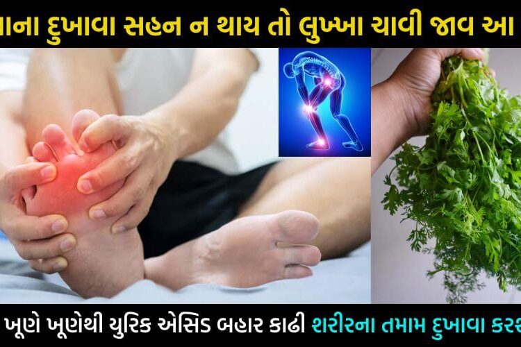 સાંધા – સંધિવાના દુખાવા સહન ન થાય, તો ચાવી જાવ મફતમાં મળતા આ પાન… શરીરના ખૂણે ખૂણેથી યુરિક એસિડ નીકળી જશે બહાર…