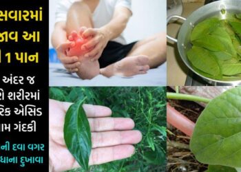 આ 3 પાન યુરિક એસિડ માટે કાળ સમાન, લોહીમાં જ સુકવી દેશે તમામ ગંદકી….1 પણ રૂપિયાની દવા વગર મટી જશે સાંધાના દુખાવા…