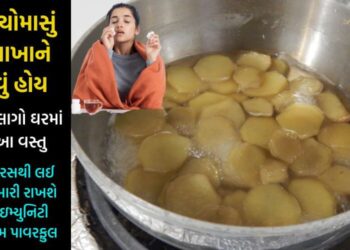 દવાખાને ન જવું હોય તો ચોમાસામાં ખાવી જોઈએ આ વસ્તુ, ઇમ્યુનિટી વધારી આખું વર્ષ શરીરને રાખશે રોગો મુક્ત…