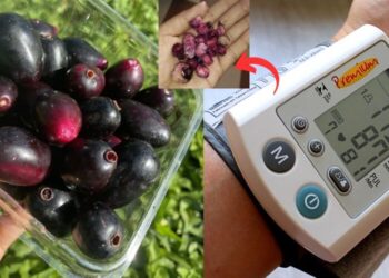 ડાયાબિટીસનો રામબાણ ઈલાજ છે આ ચમત્કારિ ફળ, ડાયાબિટીસની દવા ન ખાવી હોય જાણો સેવનની રીત… ઠળિયાથી પણ થશે ફાયદા..