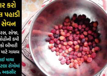 એકવાર કરો આ લાલ પહાડી ફળનું સેવન, પગથી લઈ માથા સુધીના આટલા રોગો મફતમાં થશે દુર… પોષકતત્વોનો છે ભરપુર ખજાનો…