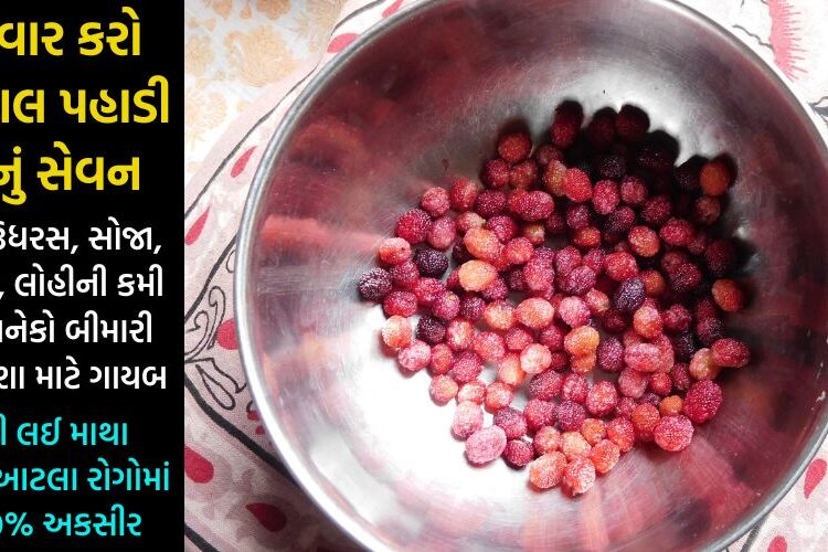 એકવાર કરો આ લાલ પહાડી ફળનું સેવન, પગથી લઈ માથા સુધીના આટલા રોગો મફતમાં થશે દુર… પોષકતત્વોનો છે ભરપુર ખજાનો…