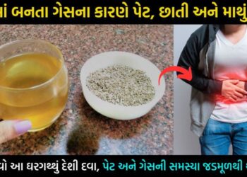 પેટમાં બને છે ભયંકર ગેસ, તો અજમાવો આ ઘરગથ્થું સરળ ઉપાય… પેટની તમામ સમસ્યા જડમૂળથી કરી દેશે ગાયબ…