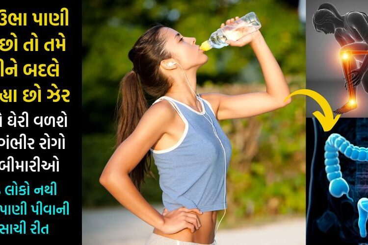 ઉભા ઉભા પાણી પીવો છો તો તમે પાણીને બદલે પિય રહ્યા છો ઝેર, થશે આવી ગંભીર બીમારીઓ… 95% લોકો નથી જાણતા કે પાણી કેવી રીતે પીવું…