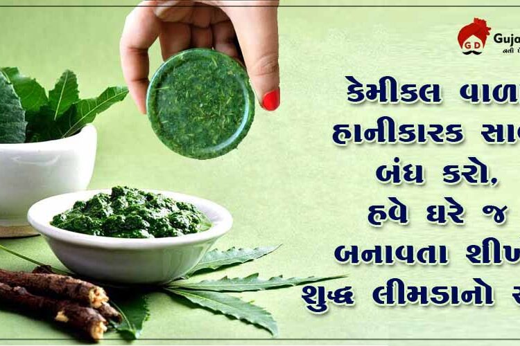 કેમિકલ વાળા સાબુ બંધ કરીને હવે ઘરે જ બનાવો શુદ્ધ લીમડાનો સાબુ આસન રીતે… જાણો તે બનાવવાની પધ્ધતિ