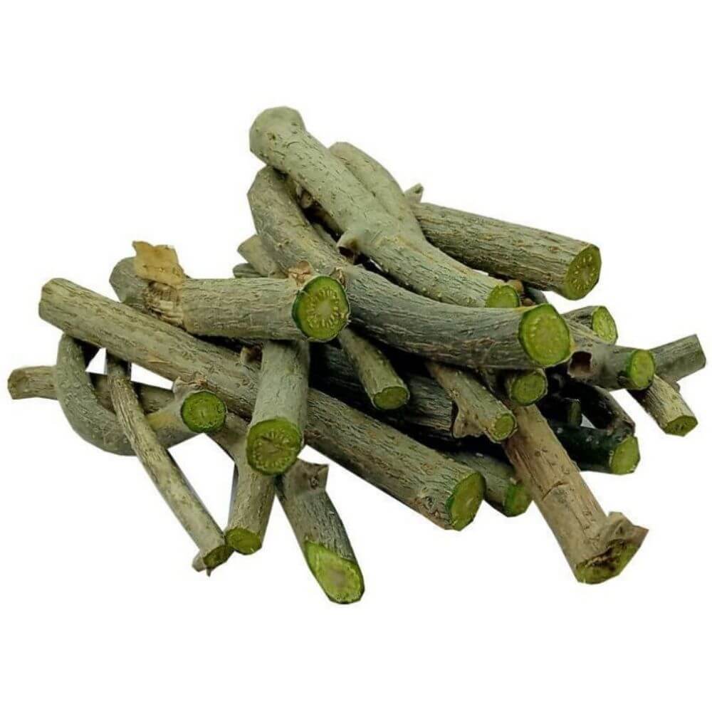 ઇમ્યુનિટી વધારવા માટે વરદાનરૂપ ગણાતો ગળો ઘરપર નાનકડા કુંડામાં જ ઉગી જશે