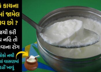 શું તમે પણ સ્ટીલ અને કાચના વાસણ દહીં જમાવો છો ? તો આજથી જ કરી દેજો બંધ… જાણો ક્યાં વાસણમાં જામેલું ખાવું…