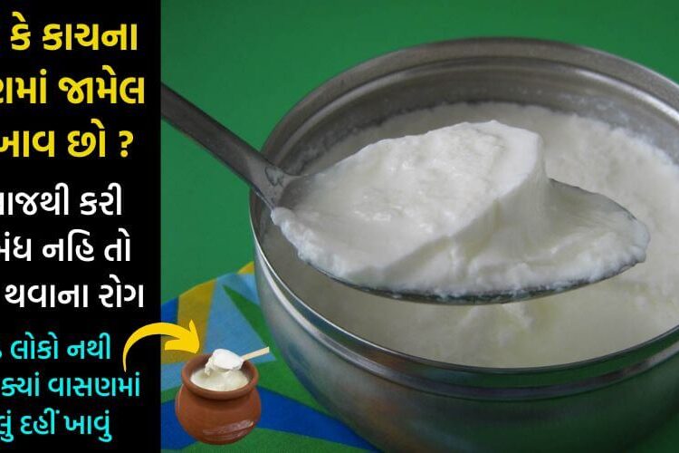 શું તમે પણ સ્ટીલ અને કાચના વાસણ દહીં જમાવો છો ? તો આજથી જ કરી દેજો બંધ… જાણો ક્યાં વાસણમાં જામેલું ખાવું…