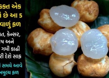 વર્ષમાં એકવાર આ ફળ ખાવાથી કબજિયાત, કેન્સર, હૃદય, મૂત્રદોષના રોગો થશે ગાયબ, કિડની સાફ કરી ગરમી કાઢી નાખશે બહાર….