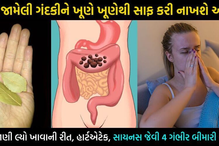 આવી રીતે કરો આ સસ્તા પાંદડાનું સેવન, પેટમાં જામેલ ગંદકી થશે જડમૂળથી સાફ… હાર્ટએટેક, સાયનસ અને કોલેસ્ટ્રોલ જેવા રોગો થશે મફતમાં ગાયબ…