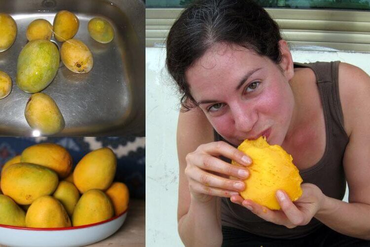 સ્વાદના ચક્કરમાં આડેધડ કેરી ખાવાની ભૂલ ન કરતા, નહિ તો થશે આવું ભયંકર નુકશાન, જાણો કેરીને ખાવાની સાચી રીતે અને સમય…