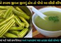 આ શાકનું જ્યુસ હાડકાના તમામ દુખાવા કરશે દુર, જૂનામાં જૂની કબજિયાત મટી જશે એક જ રાતમાં… જાજુ જીવવું હોય તો પીવા લાગો રોજ…