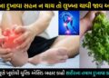 સાંધા – સંધિવાના દુખાવા સહન ન થાય, તો ચાવી જાવ મફતમાં મળતા આ પાન… શરીરના ખૂણે ખૂણેથી યુરિક એસિડ નીકળી જશે બહાર…
