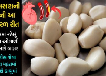 બસ આવી રીતે કરી લ્યો લસણની કળીનું સેવન, હાઈ કોલેસ્ટ્રોલ અને શુગરનો કરી દેશે ખાત્મો… વગર દવાએ આપશે ડબલ પરિણામ…
