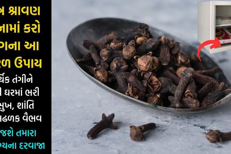 શ્રાવણ મહિનામાં કરો લવિંગના આ 3 સરળ ઉપાય, હંમેશા માટે દુર થશે આર્થિક તંગી… ચમકી જશે તમારું ભાગ્ય, સુખ અને સમૃદ્ધિ…