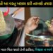 10 રૂપિયામાં મળતી અને 2 મિનીટમાં બનતી આ વસ્તુ તમારા બાળકો માટે છે ઝેર સમાન, ખવડાવતા પહેલા દરેક માતા-પિતા વાંચી લ્યો આ માહિતી…