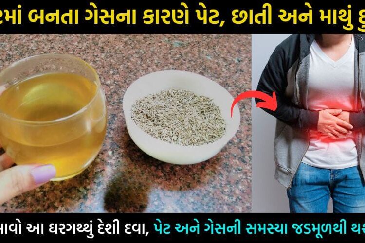 પેટમાં બને છે ભયંકર ગેસ, તો અજમાવો આ ઘરગથ્થું સરળ ઉપાય… પેટની તમામ સમસ્યા જડમૂળથી કરી દેશે ગાયબ…