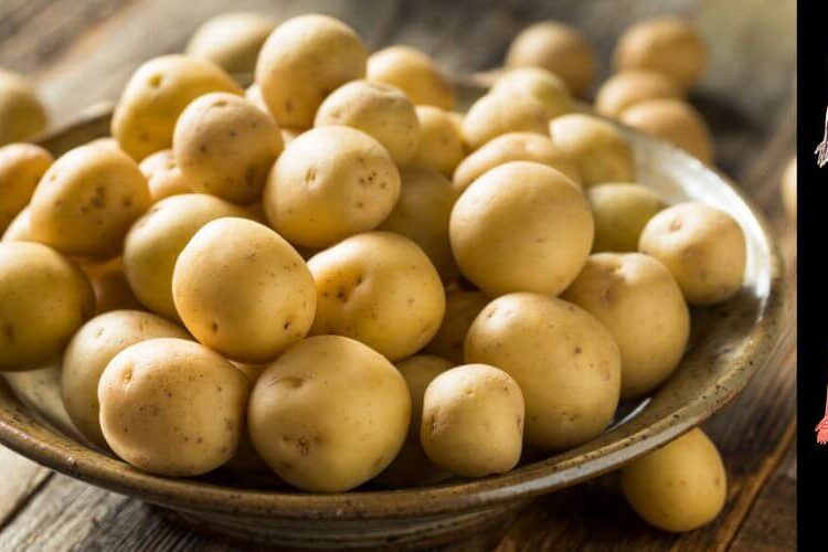 એક મહિના સુધી બટાટા ન ખાવ તો શરીરમાં થશે આવા ફેરફાર, આ માહિતી જાણી ચોંકી જશો…